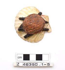 Object