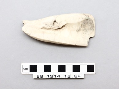 Thumbnail Image