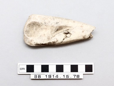 Thumbnail Image