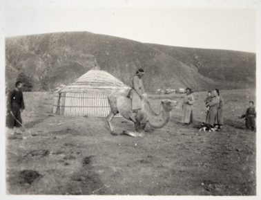 Thumbnail Image
