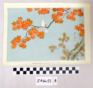 Thumbnail Image