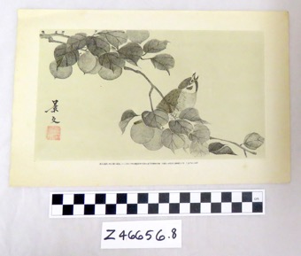Thumbnail Image