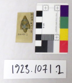 Thumbnail Image